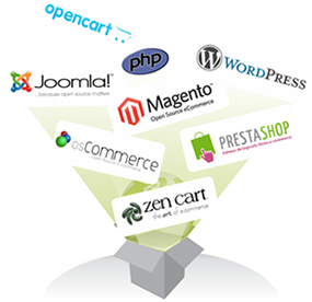 open source cms development lucknow